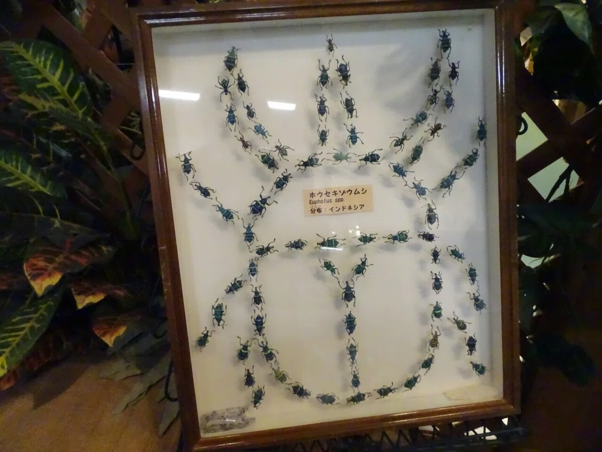 画像26