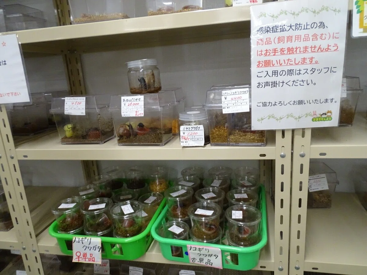 画像6