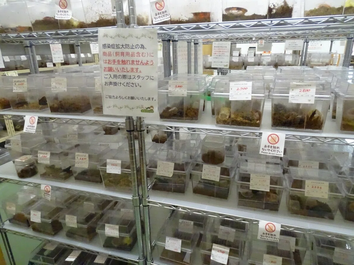 画像4
