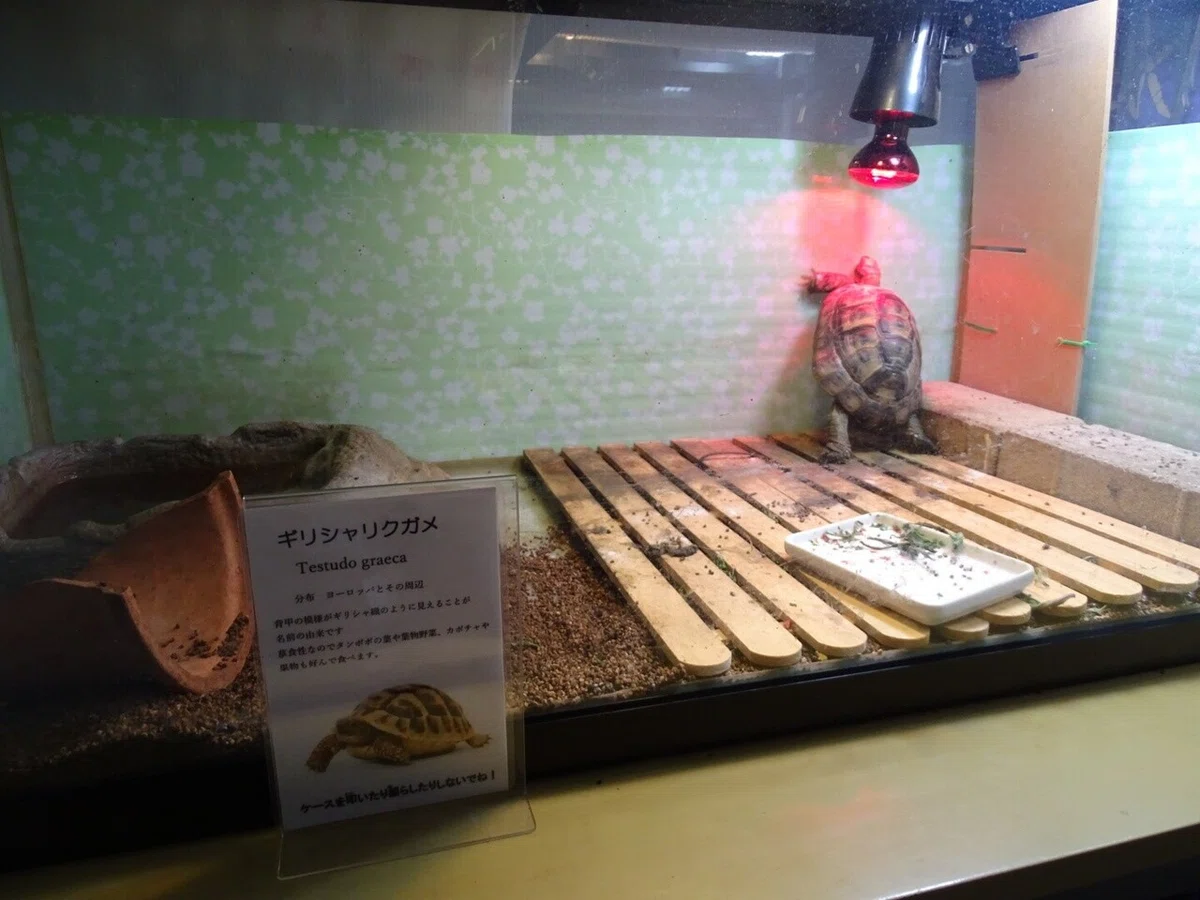 画像56