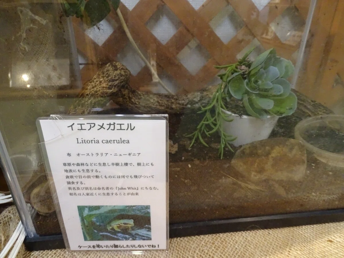 画像47