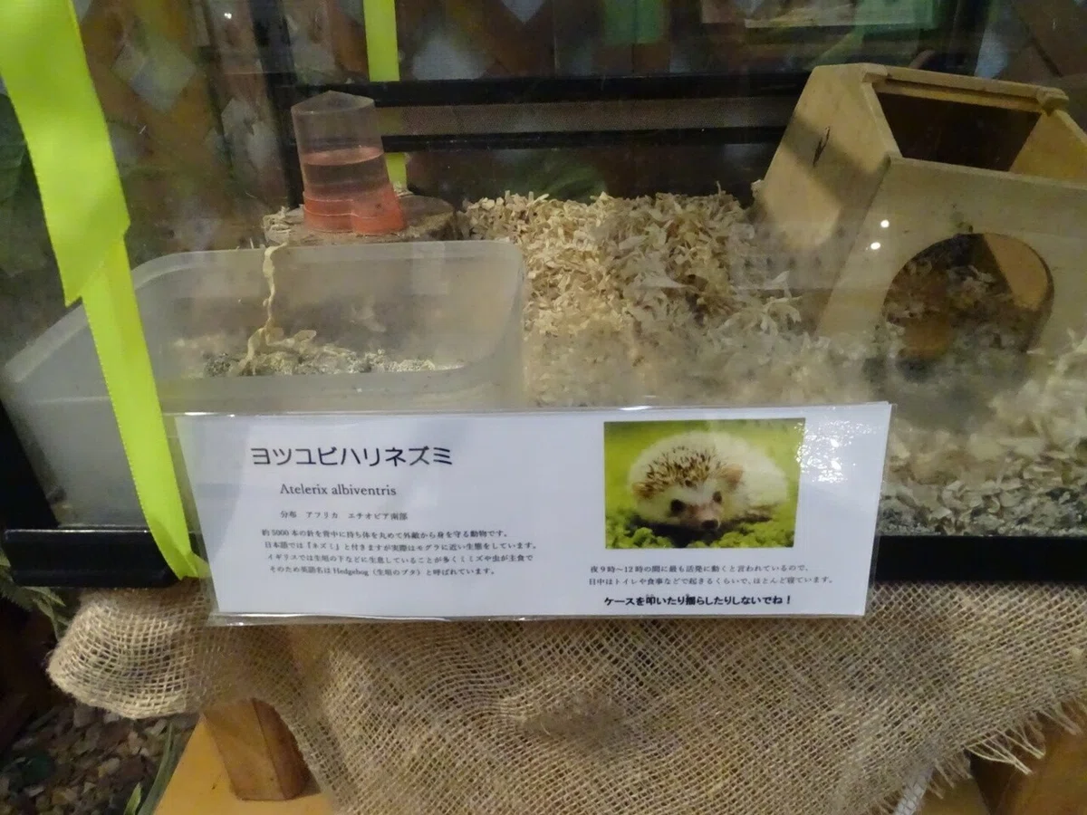 画像45