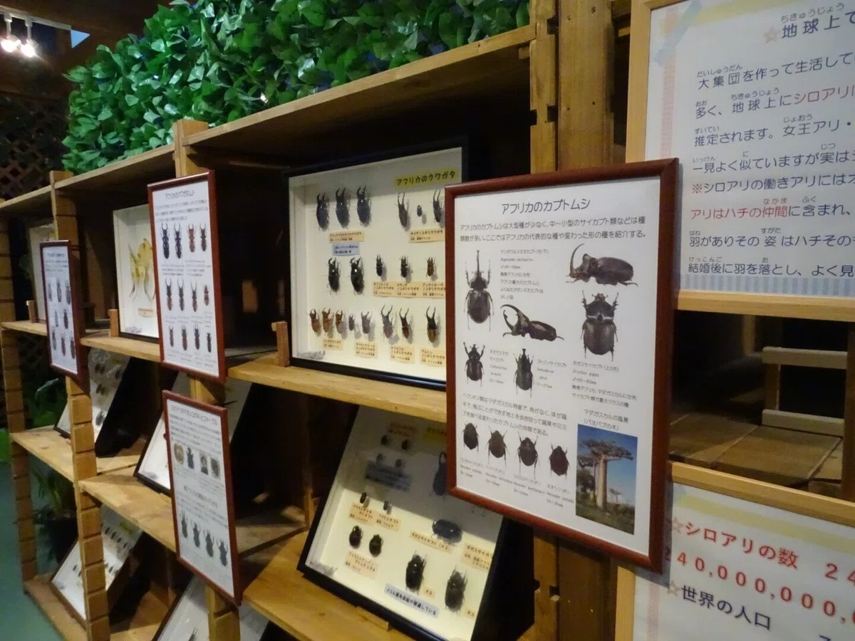 画像39