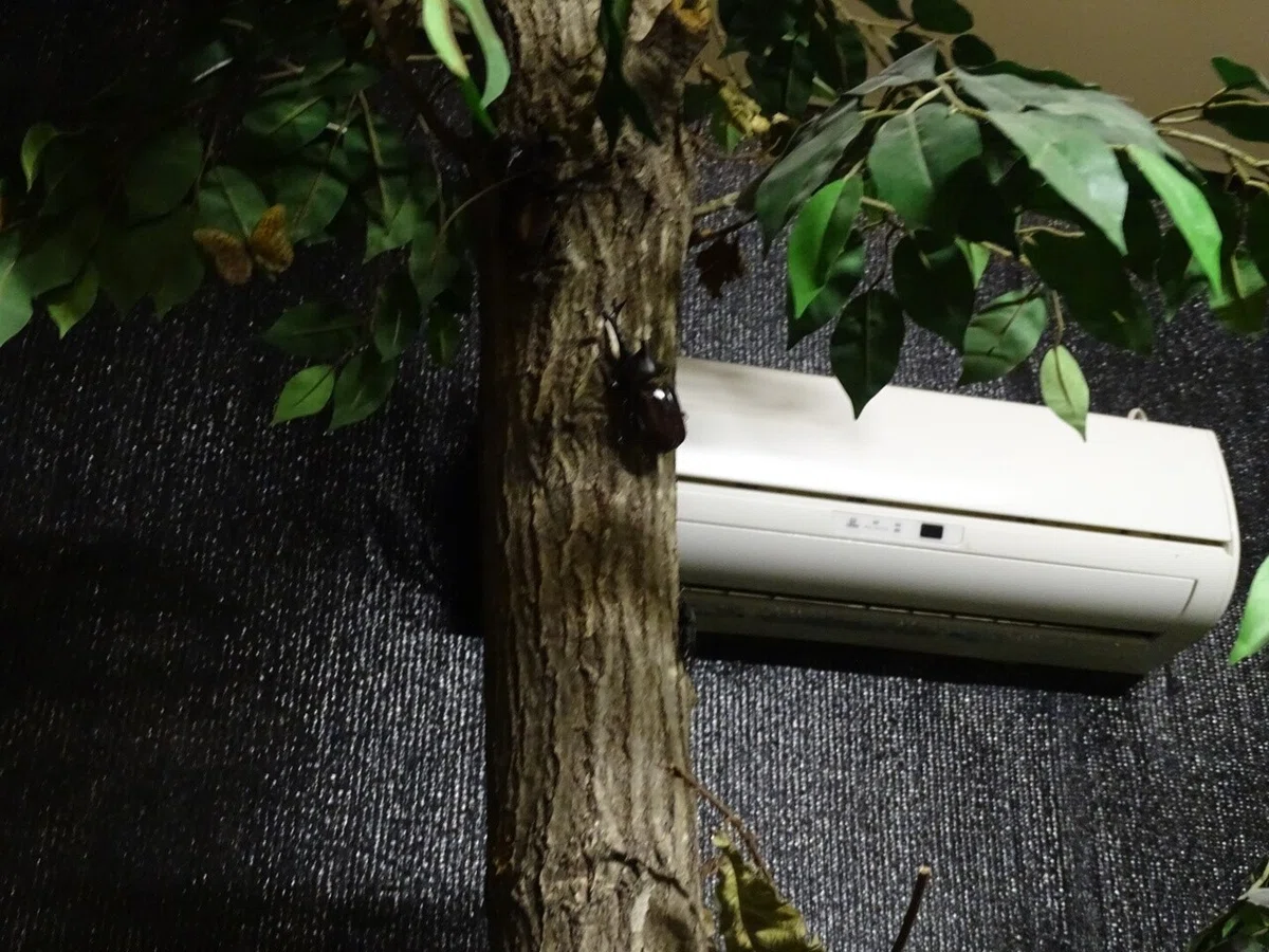 画像55