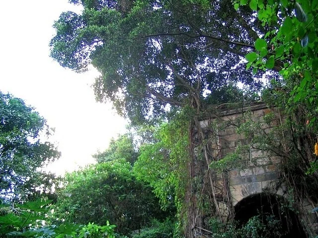 画像9