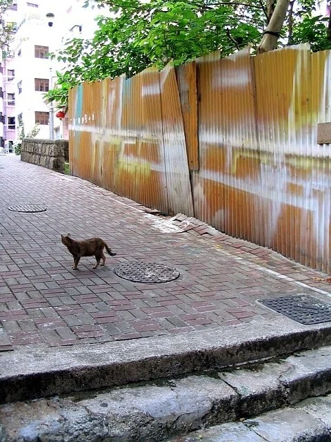 画像25