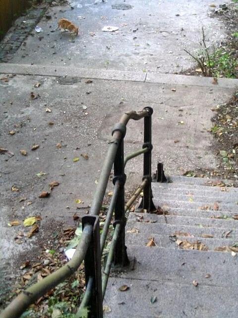 画像31