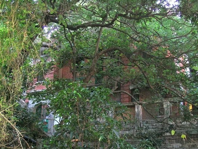 画像33
