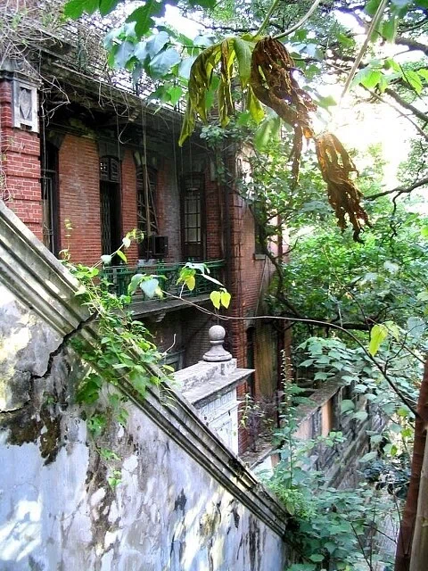 画像37