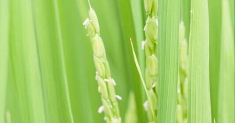 アスファルトが鋭利な刃物 の新着タグ記事一覧 Note つくる つながる とどける