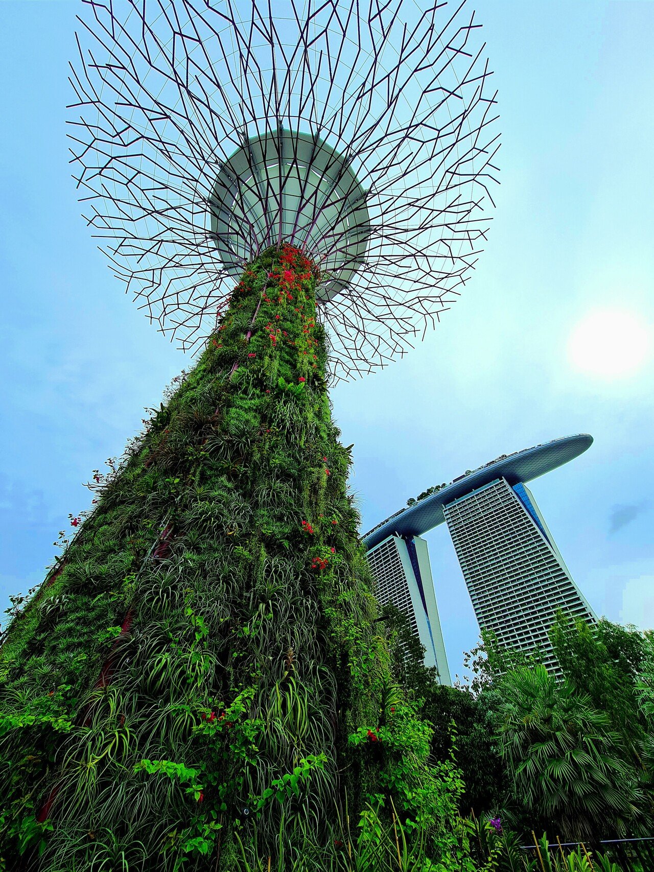シンガポールの日常】普段見ている何気ない絶景｜タチサラ