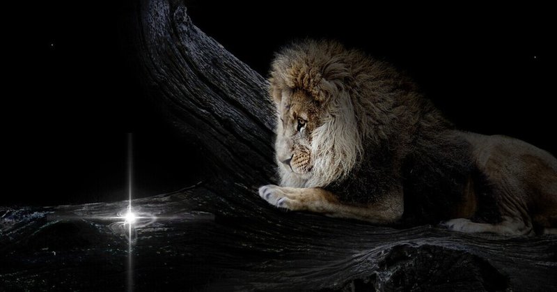 Free Healing!🦁Lion's Gate Present by Lyrical Spirit