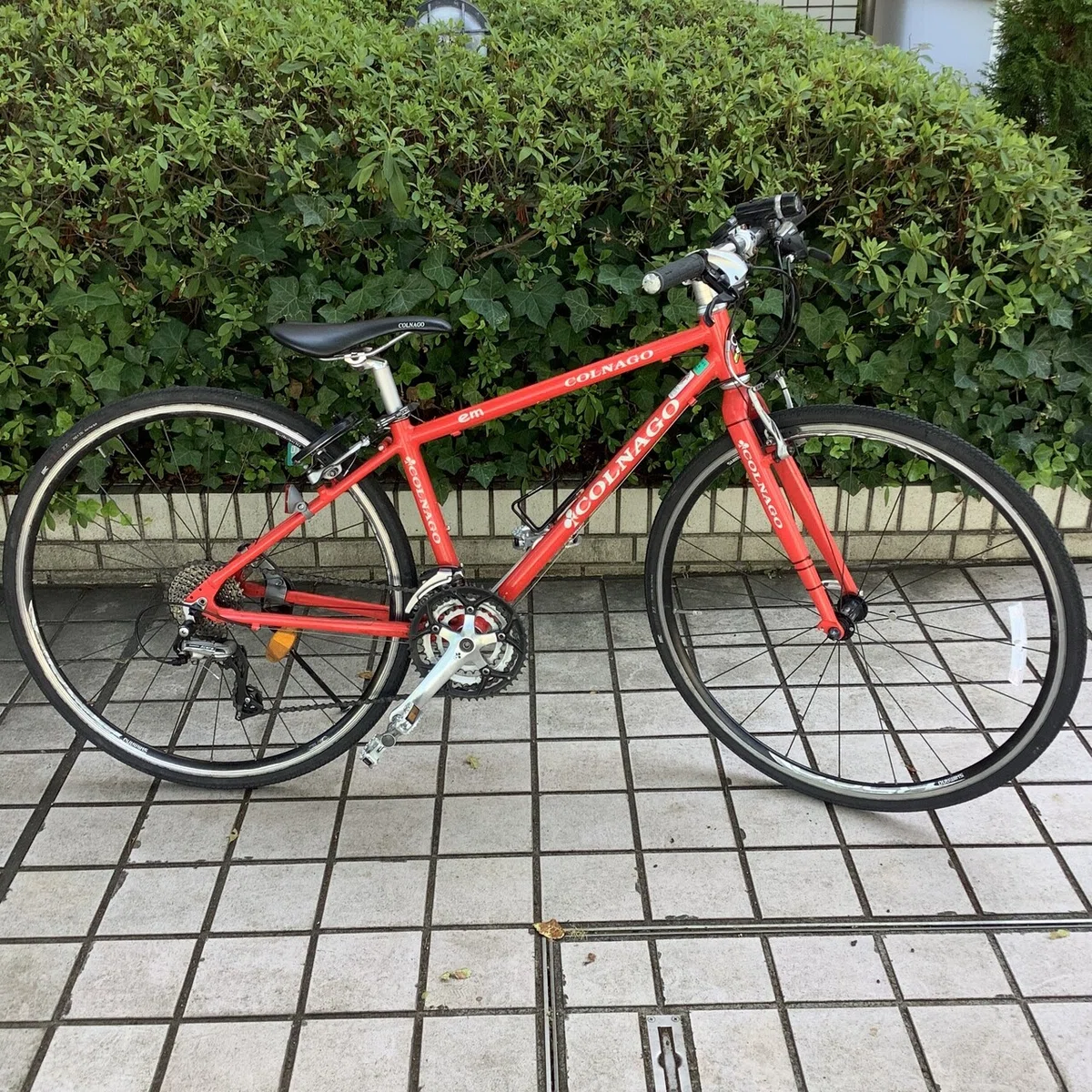 画像7