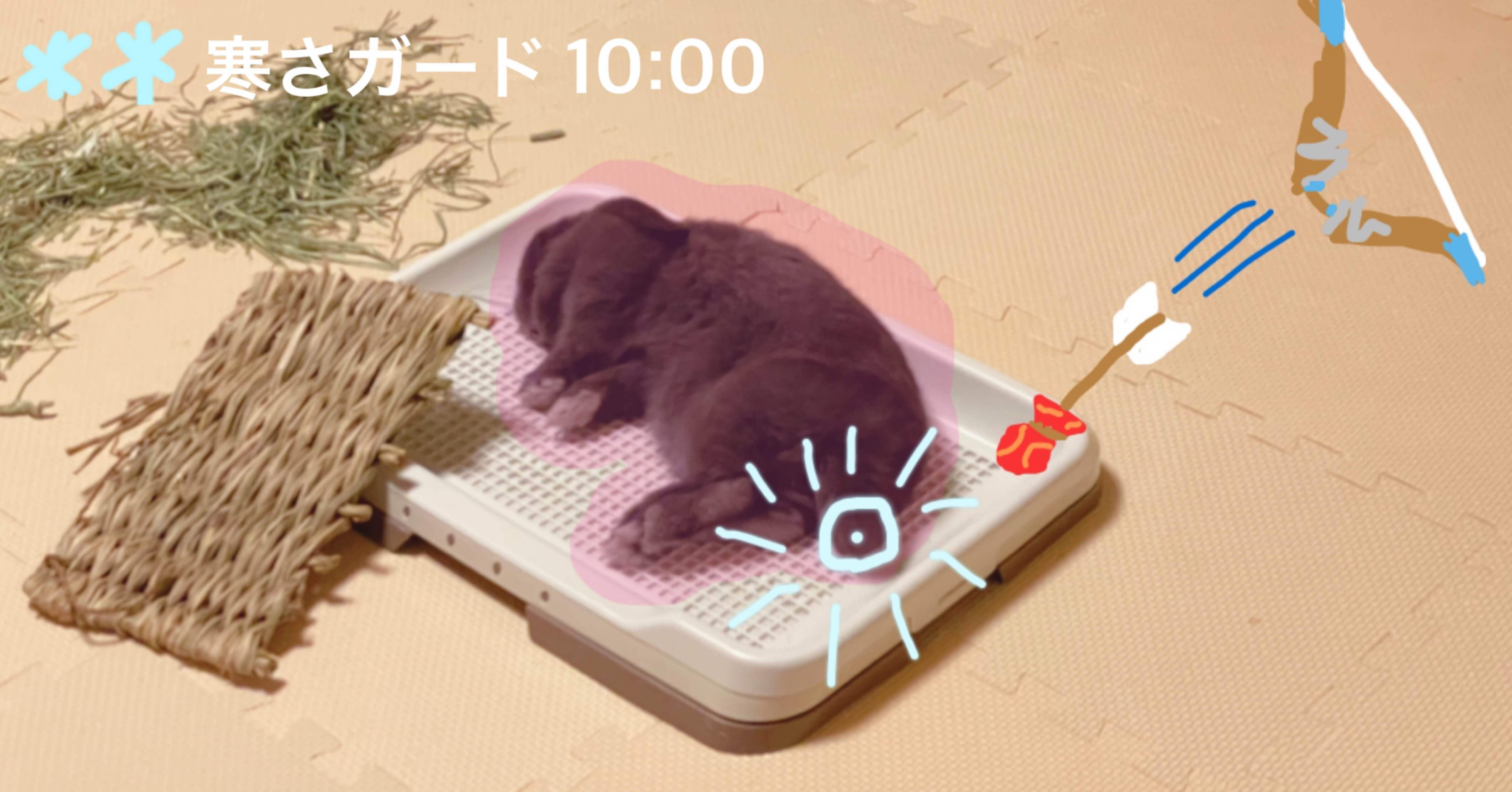 初めての ゼルダの伝説ブレス オブ ザ ワイルド 14話 リトの村から神獣メドーを鎮めよ ネタバレ スクショあり げーらびーず Note 初めての ゼルダの伝説ブレス オブ ザ ワイルド 14話 リトの村から神獣メドーを鎮めよ ネタバレ スクショあり げーらびーず Note