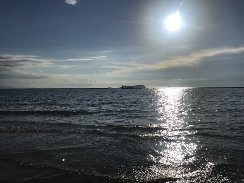 163日目 夏が始まる と同時に終わる 毒松 セイたん Note