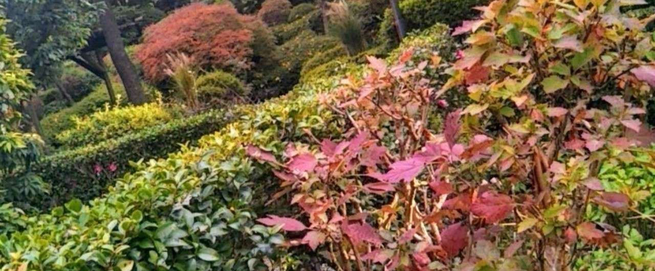 私と夫の仲良しの秘訣 なつめぐ 仮 Note