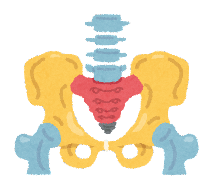 デスクワークの方必見 ヨガインストラクターおすすめの座り方 渡邉 来美 Kurumi Note