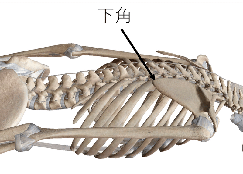 画像34