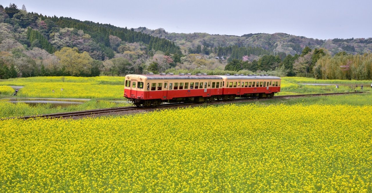 市原市南部加茂地区のコアコンピタンス｜MYK