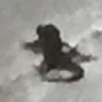 I M Homeが４話も死ぬほど面白いので実際死ぬ Tokunina Note