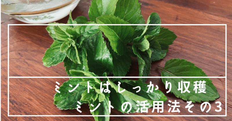 ミントはしっかり収穫ミントの活用法 番外編 ころの庭自然菜園ーハーブやアロマもー Note ミントはしっかり収穫ミントの活用法 番外編 ころの庭自然菜園ーハーブやアロマもー Note