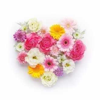 旦那両親と 同居8年目の私が理想の2世帯同居を語ります つきこ Note