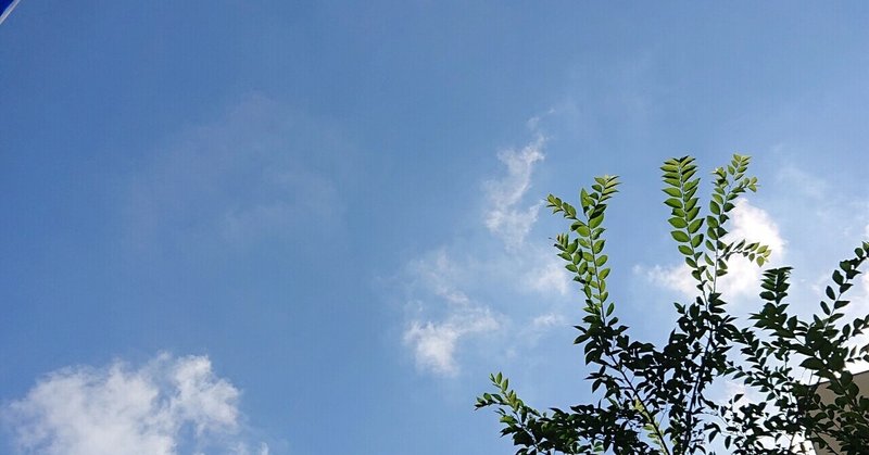 義父母同居 の新着タグ記事一覧 Note つくる つながる とどける 義父母同居 の新着タグ記事一覧 Note つくる つながる とどける