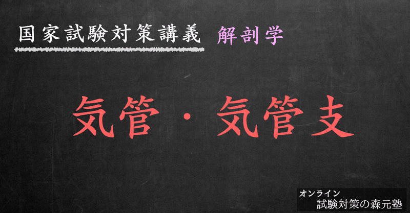 解剖学 気管 気管支の構造について 森元塾 国家試験対策 Note