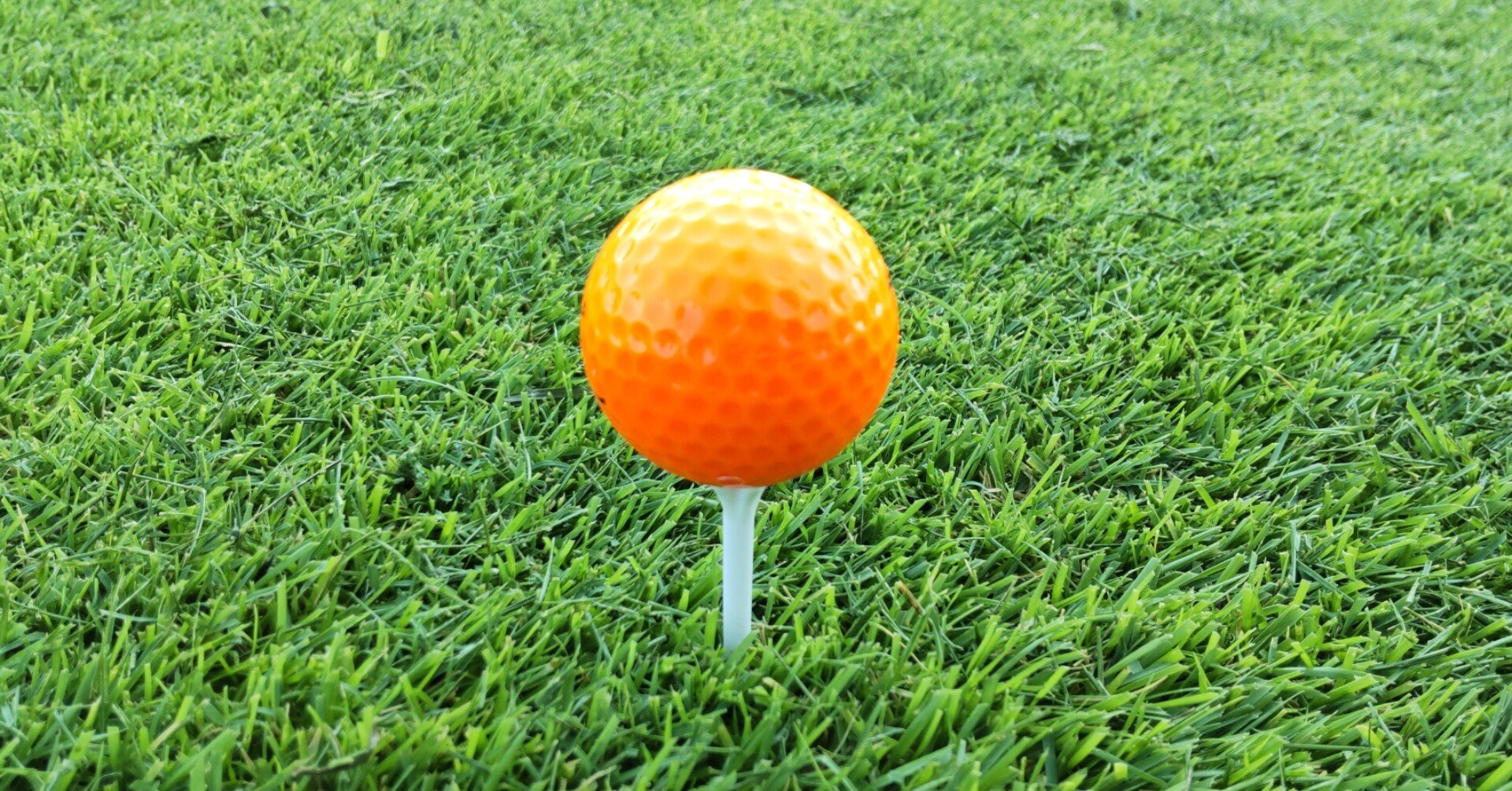 ゴルフ】ボールをめぐる旅｜橘ダイスケ
