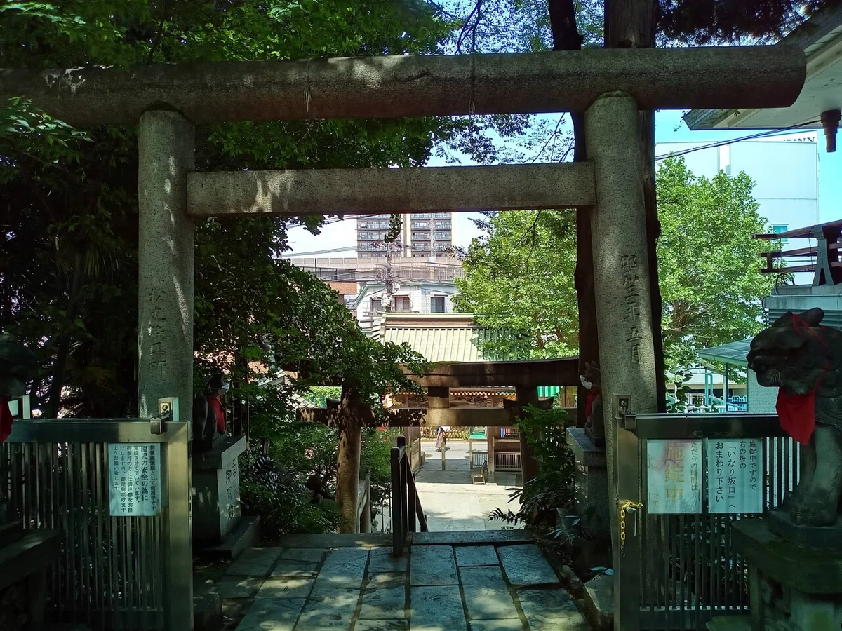 画像5