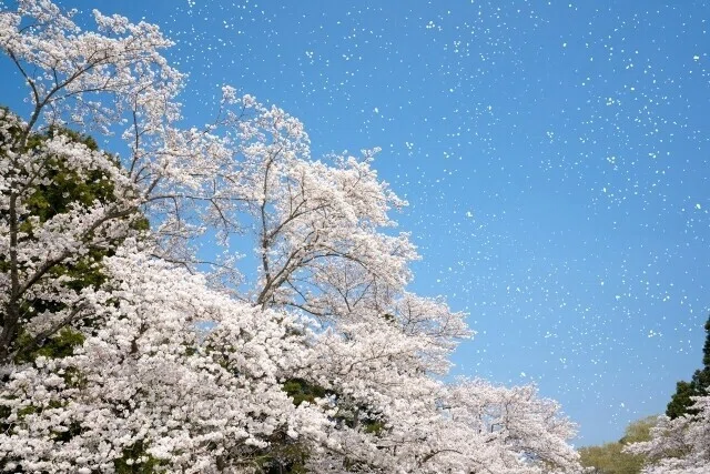 画像9