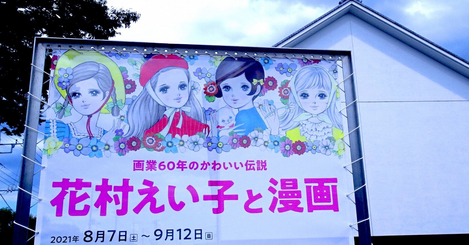 新品未開封 花村えい子 クッション ピロコ 日本製 花村えい子先生と