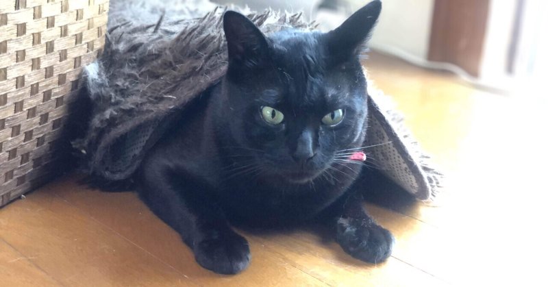 できたりできなかったり 21 08 08 疑いようのない晴れ おでん Graffiti Hunter Note