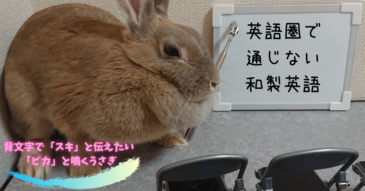 アンケート 英語圏で通じない和製英語 背文字で スキ と伝えたいウサギのポリアンナ 音卯風矢 フォロバ100 Note