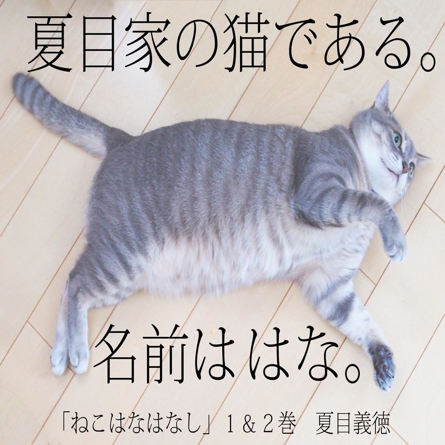 自分の本が出た日に他人様の記事がバズる 夏目 義徳 Note