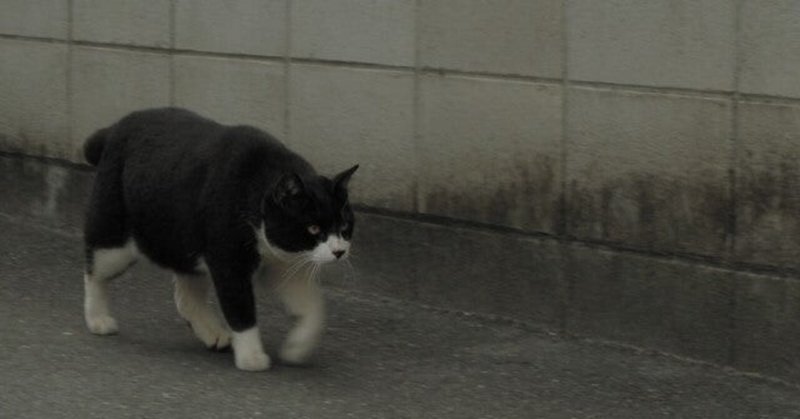 本気と書いてマジと読む 269 つむぐ Note