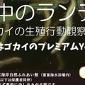 聞いてみた というか見てきた 13 真夜中のランデブー Uwagaki Note 聞いてみた というか見てきた 13 真夜中のランデブー Uwagaki Note