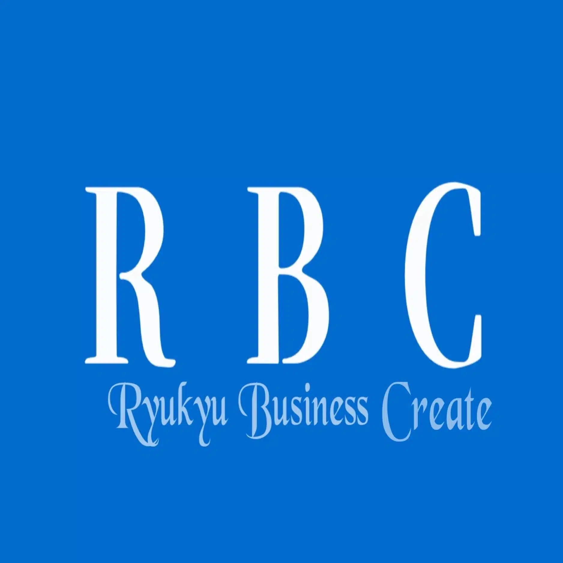 【企業の財務支援】琉球ビジネスクリエート合同会社