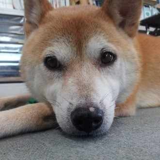 新国立美術館の古典×現代2020 闇に浮かぶ仏像を見つめて｜Azusa Mizuno