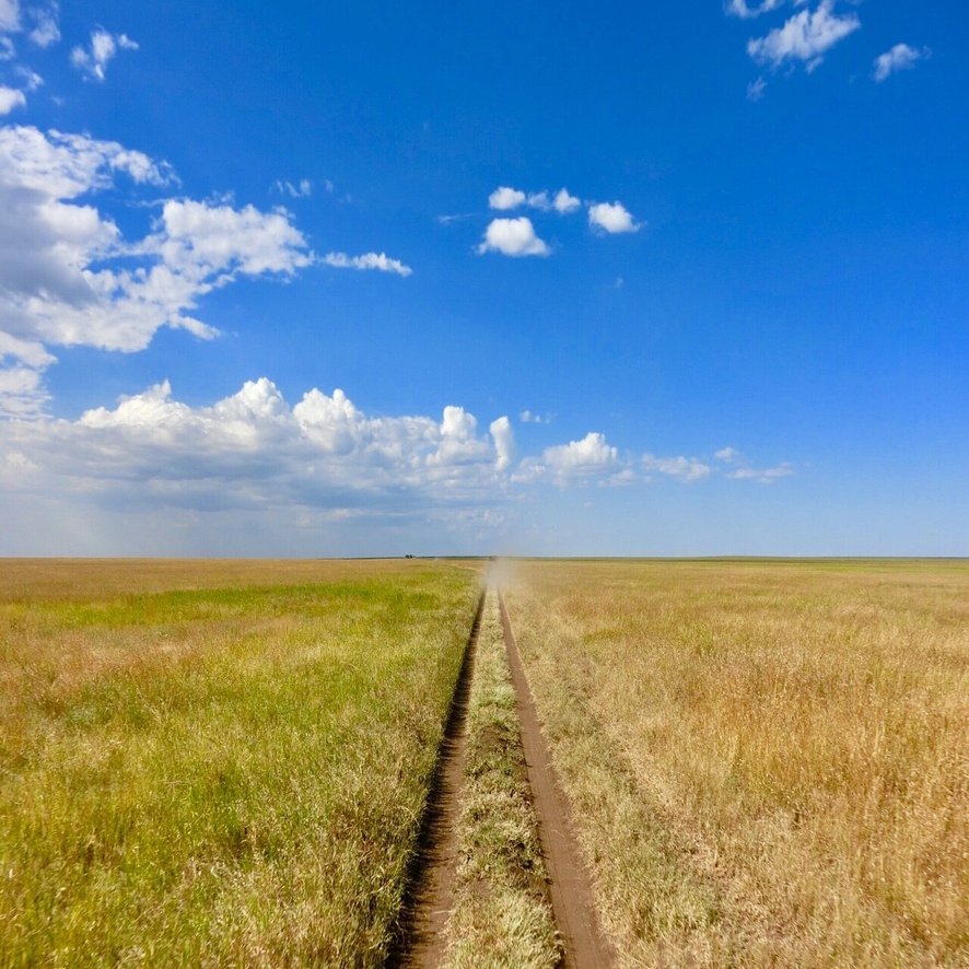 初めてのアフリカ タンザニア それも1人 セレンゲティ国立公園 Tembo Note