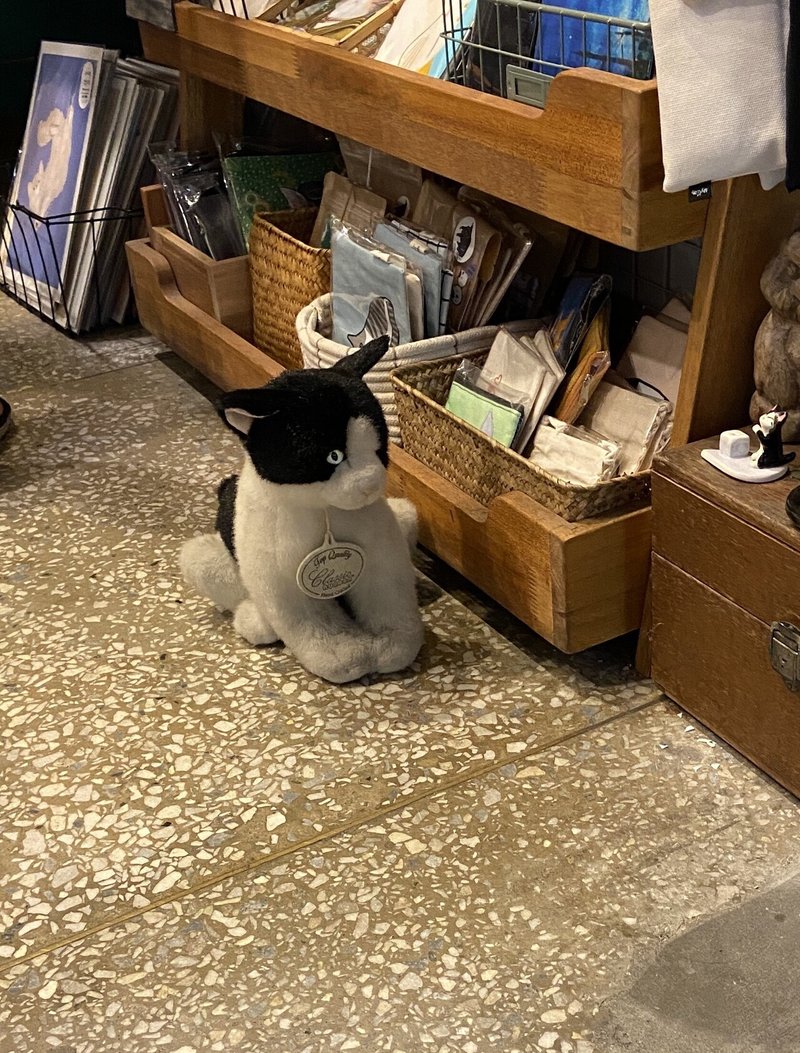 画像7