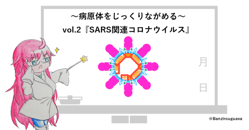 ～病原体をじっくりながめる～
vol.2『SARS関連コロナウイルス』