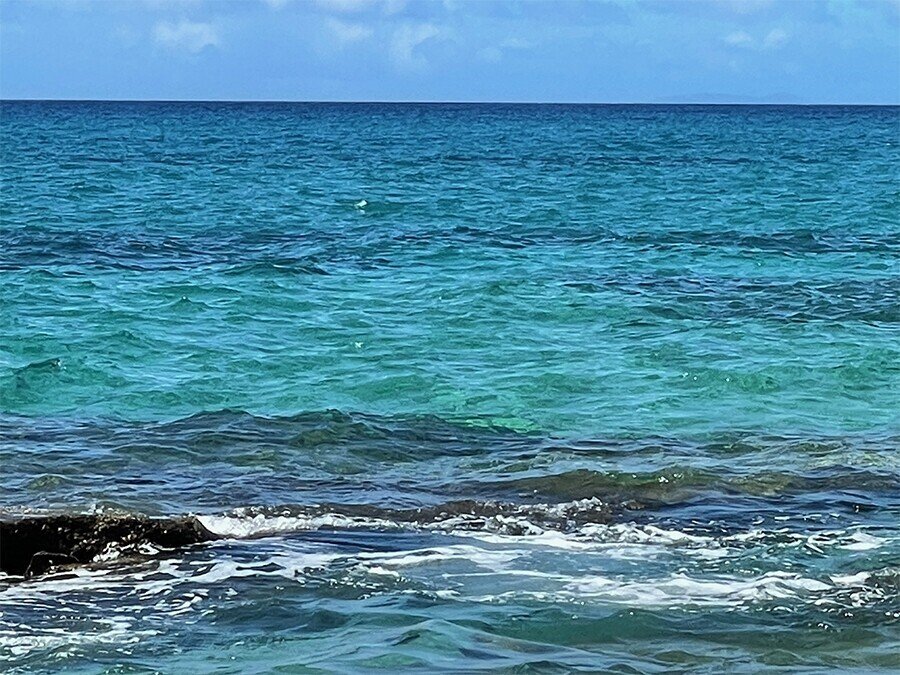 青・碧・蒼〜「あお」の世界〜｜Kusaki Yuko 