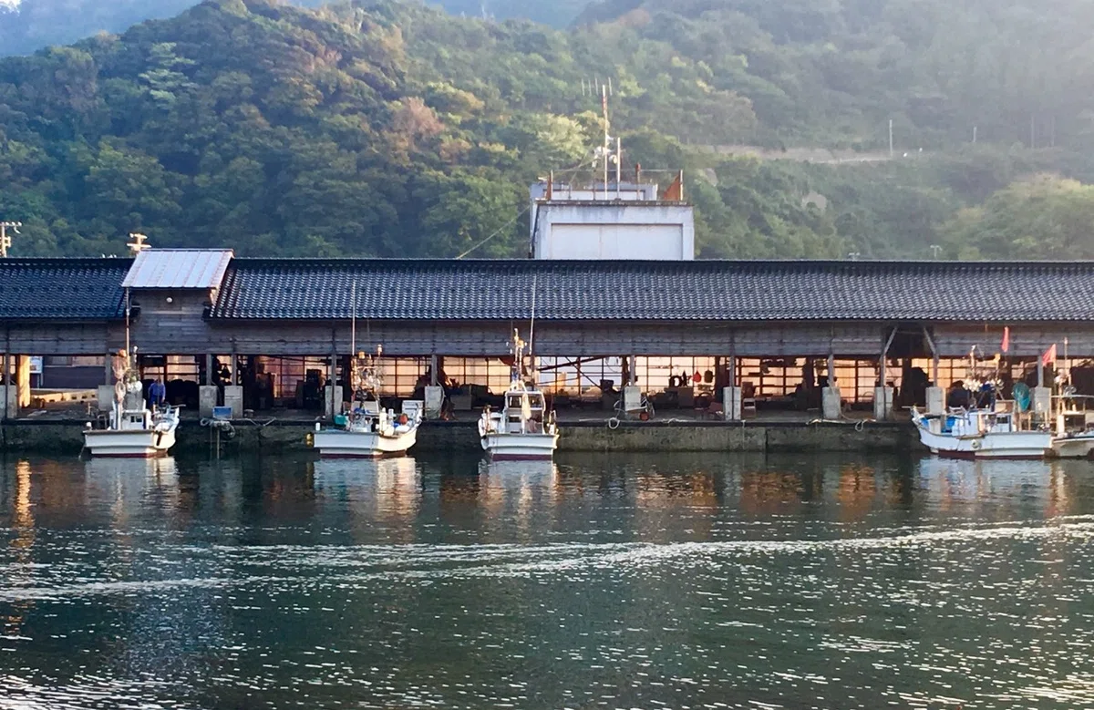 画像7