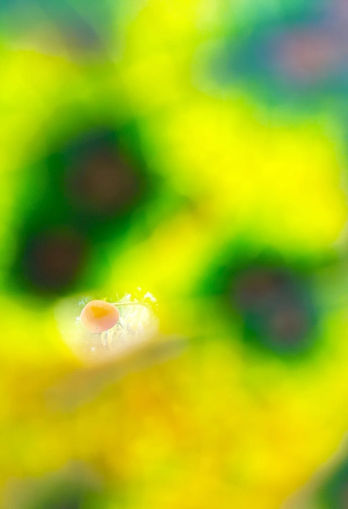 画像11