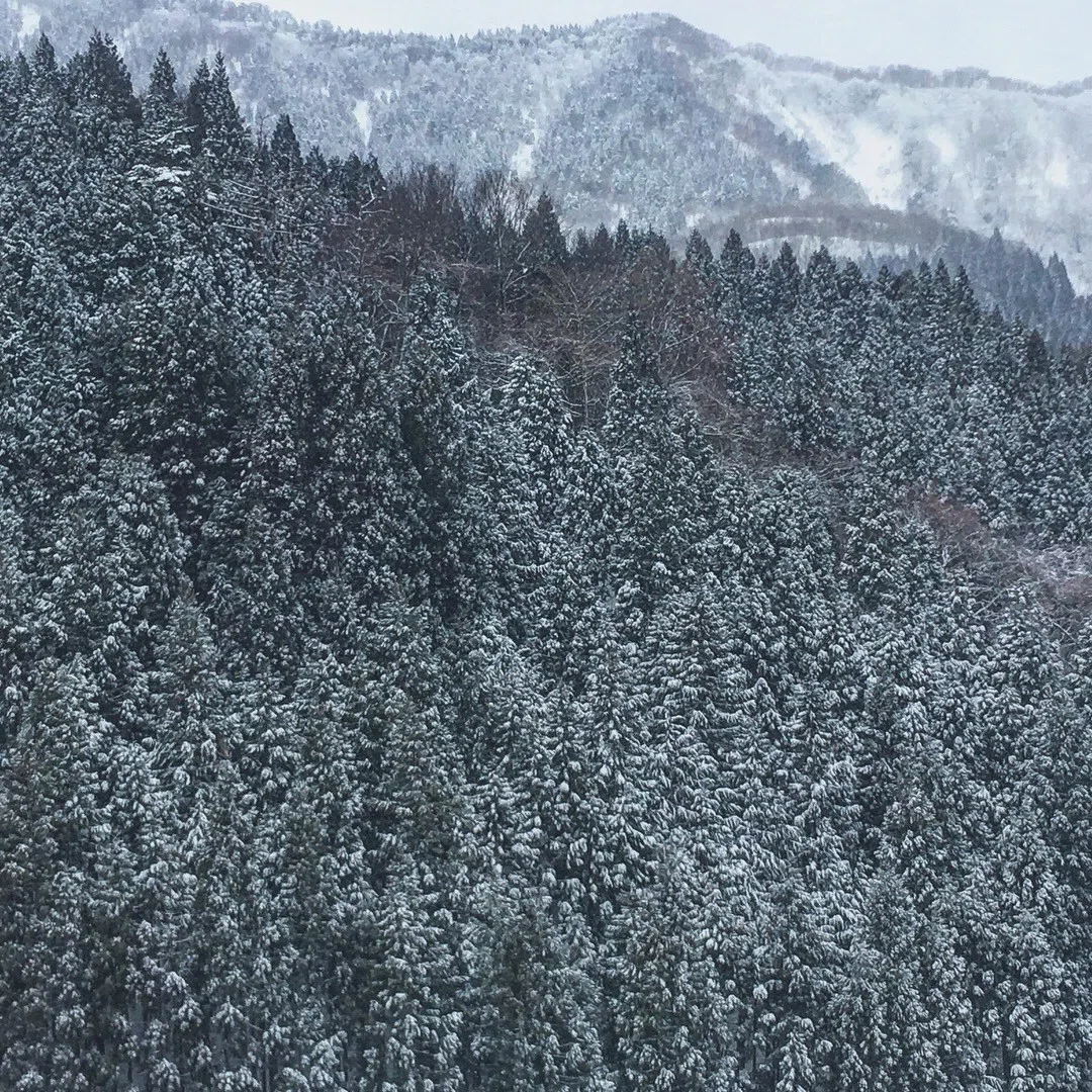 画像35