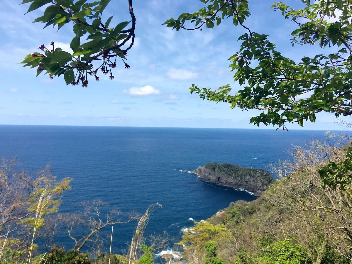 画像49