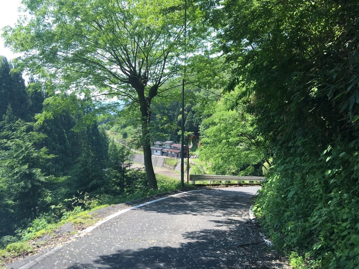 画像53
