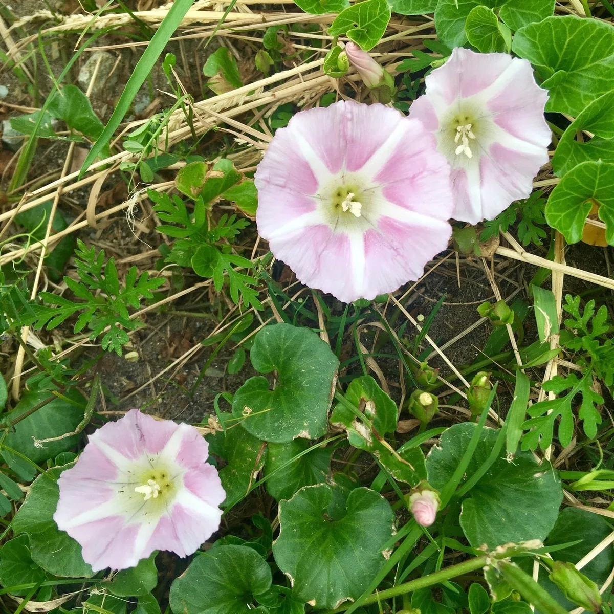 画像92