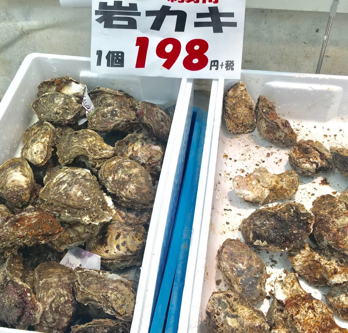 画像96